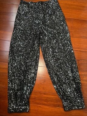 Zara Black Sequin Pants